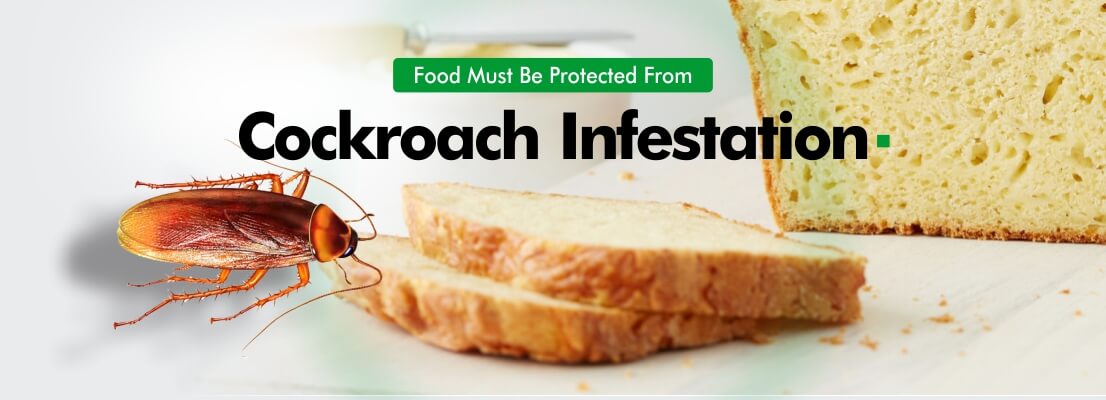 Prevent pest infestations in Food.