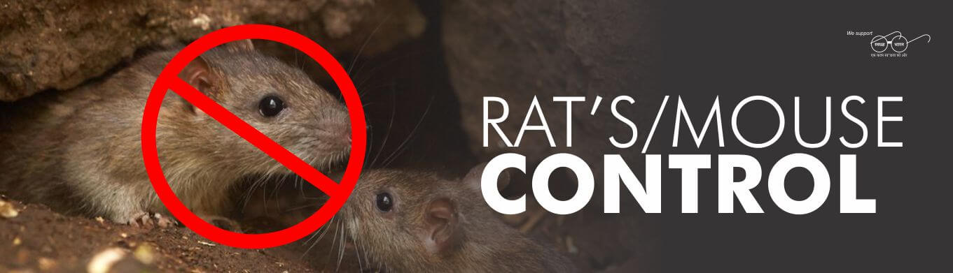 RAT'S MOUSE PEST CONTROL SERVICE