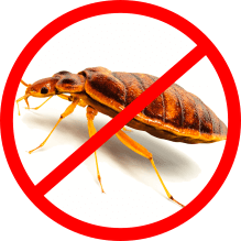 bed bug control services icon