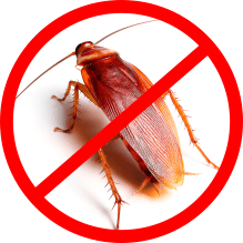 cockroach control service icon