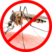 mosquito control service icon