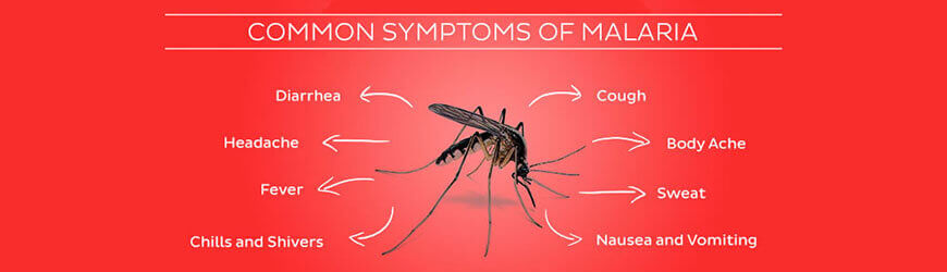 Malaria: Symptoms, treatment, and prevention