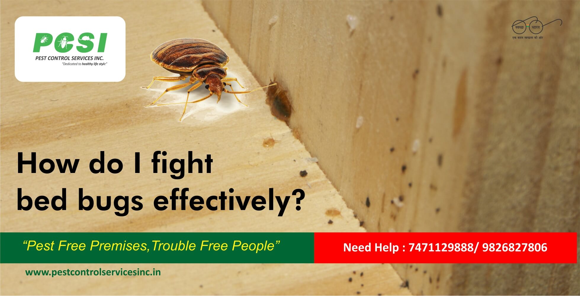 fight bed bug effectively