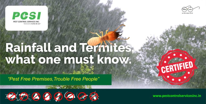 Rainfall and Termites