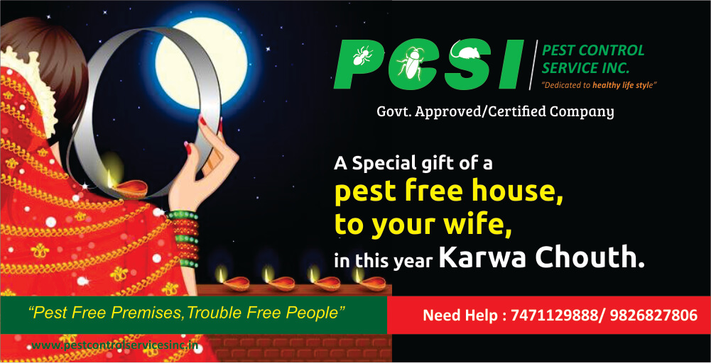 pest control karwa chouth offer