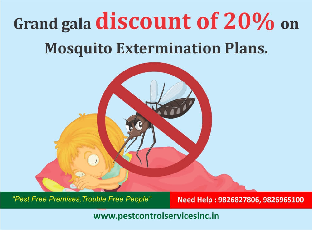mosquito pest control in indore. 