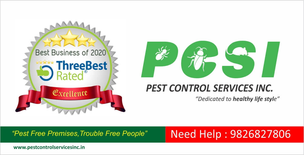 no 1 pest control company in indore
