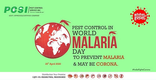 Pest Control in World Malaria Day to prevent Malaria & Disinfect from Corona.