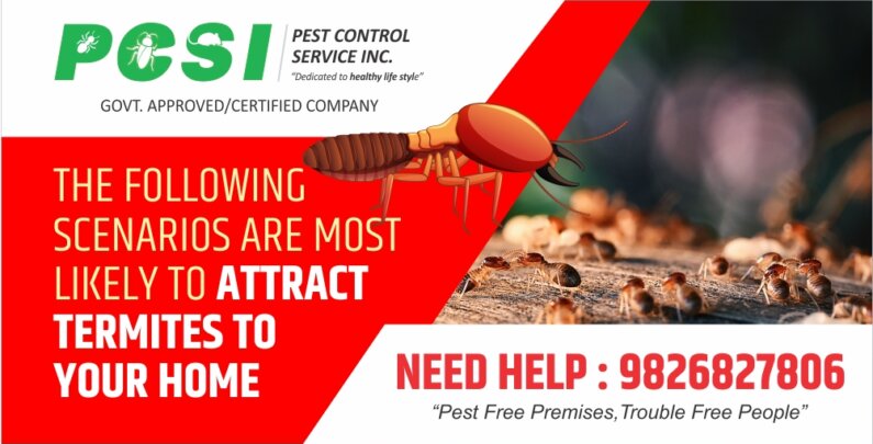 termite control pre and pest termite contorl service 1