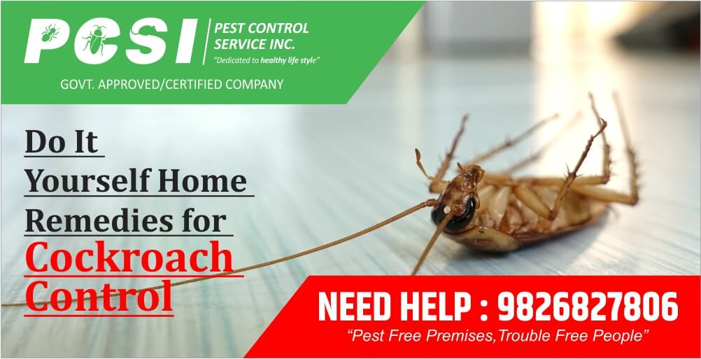Do It Yourself Home Remedies for Cockroach Control