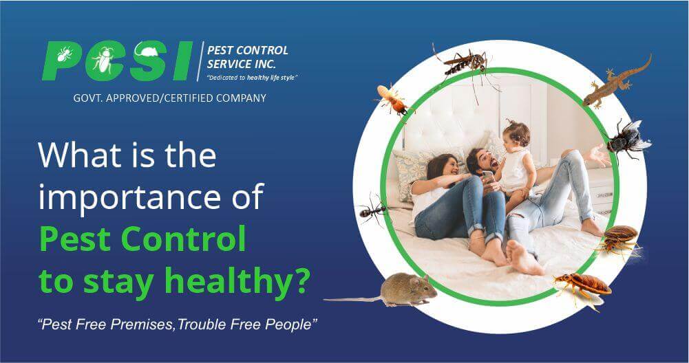 Importance of Pest Control to stay healthy