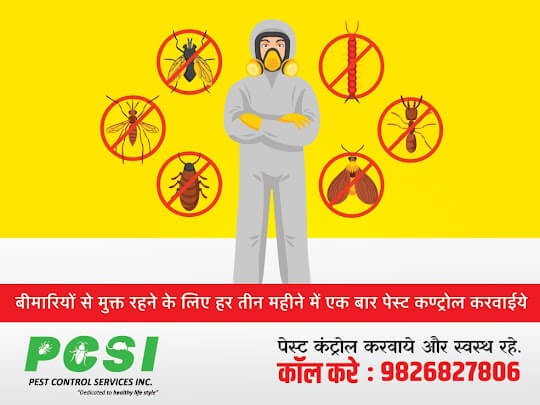 pest control services in indore
