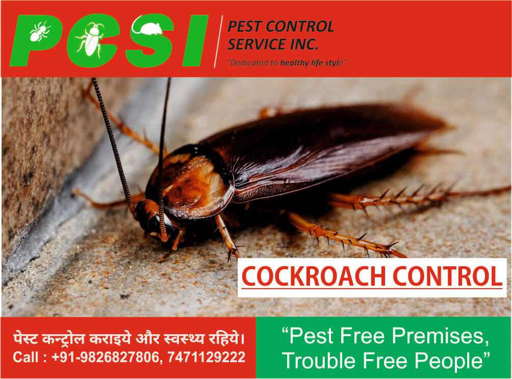 Cockroach control