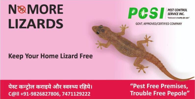 Lizard Control services in Indore