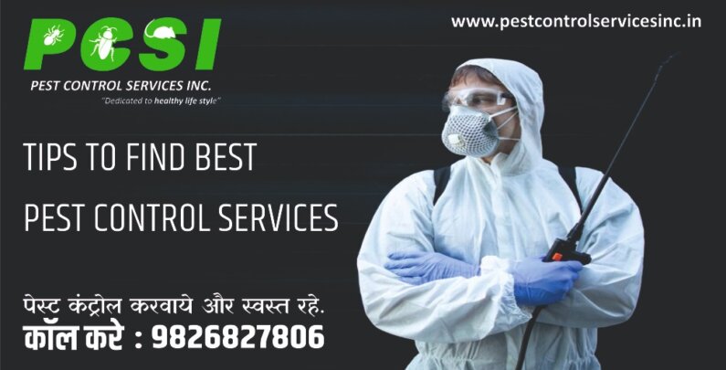 Pest Control Services Indore
