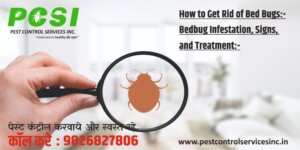 bedbugs control services in indore