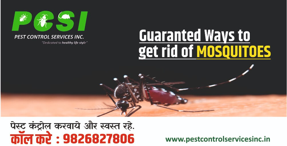 Mosquito Control Services in Indore