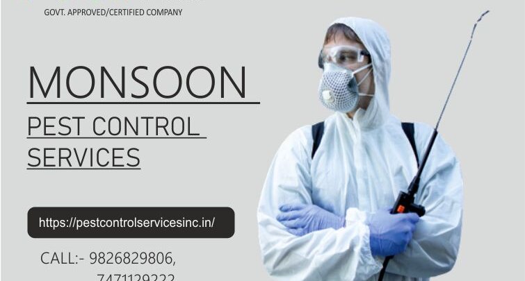 Monsoon Pest control service