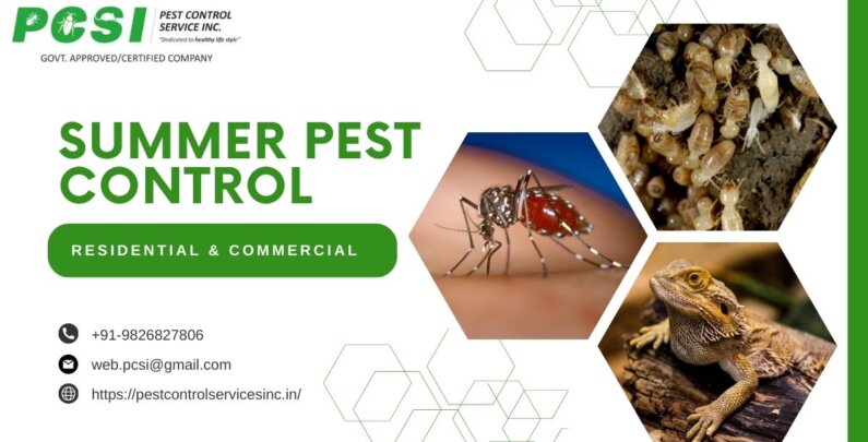 Summer Pest Control Service