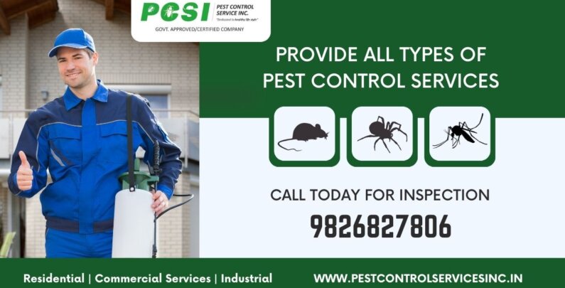 Pest Control treatment