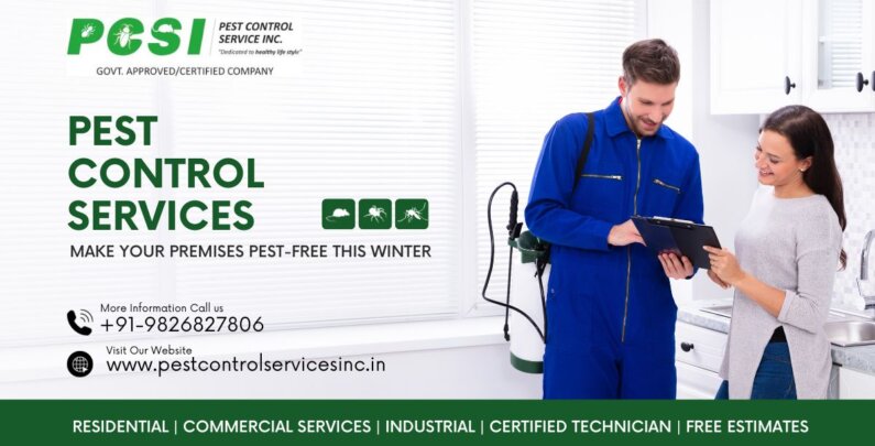 Pest Control Services in Winter