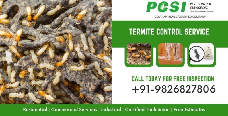 Termite Control Services in Indore