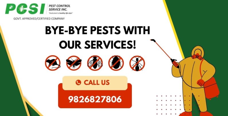 Pest Control Services in Indore