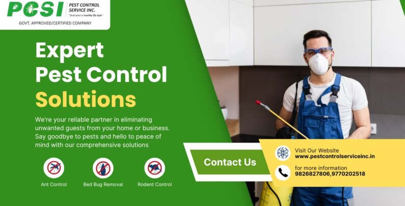 Pest Control Services in Indore