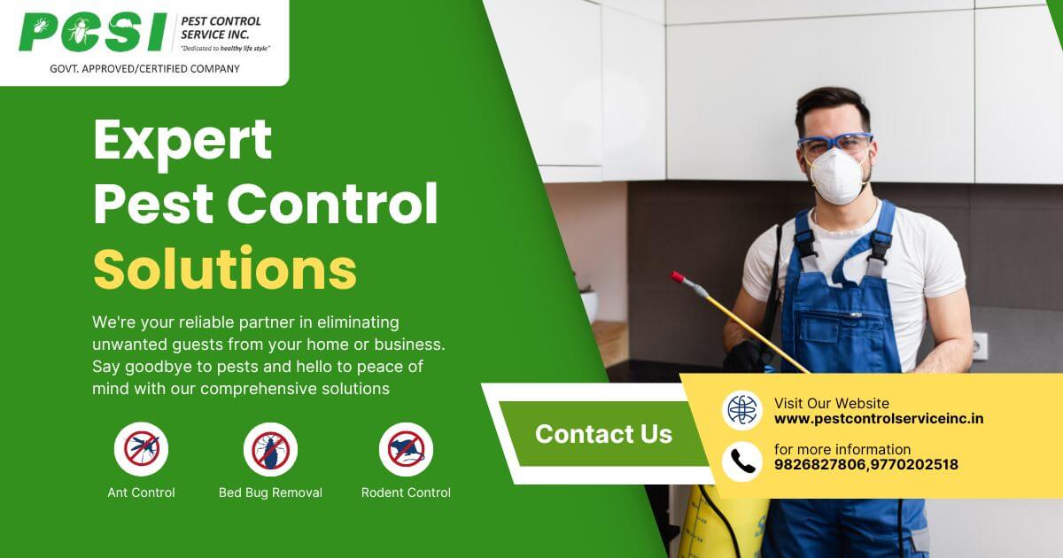 Pest Control Services in Indore