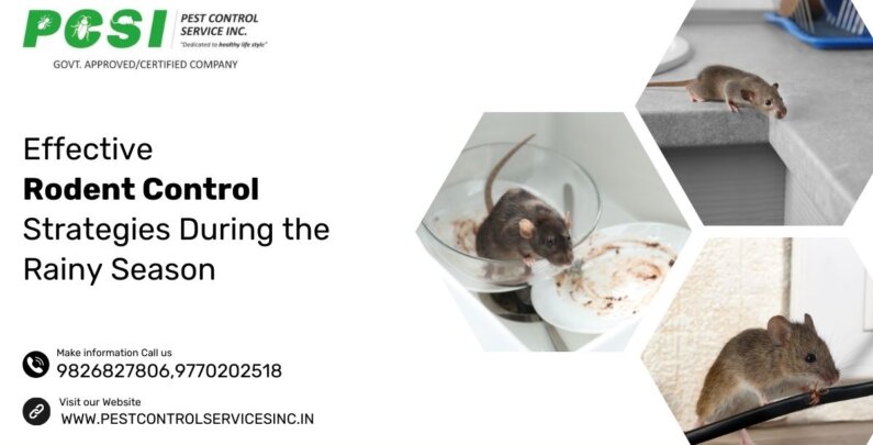 Rodent Control Services in Indore