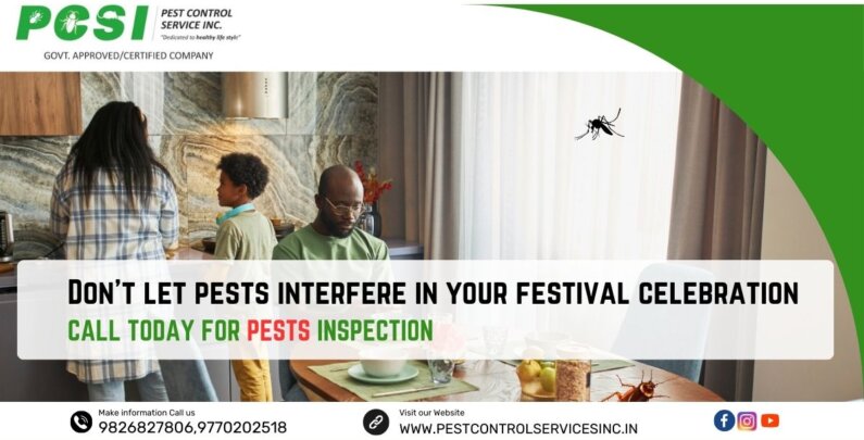 Festival Pest Control Services in Indore